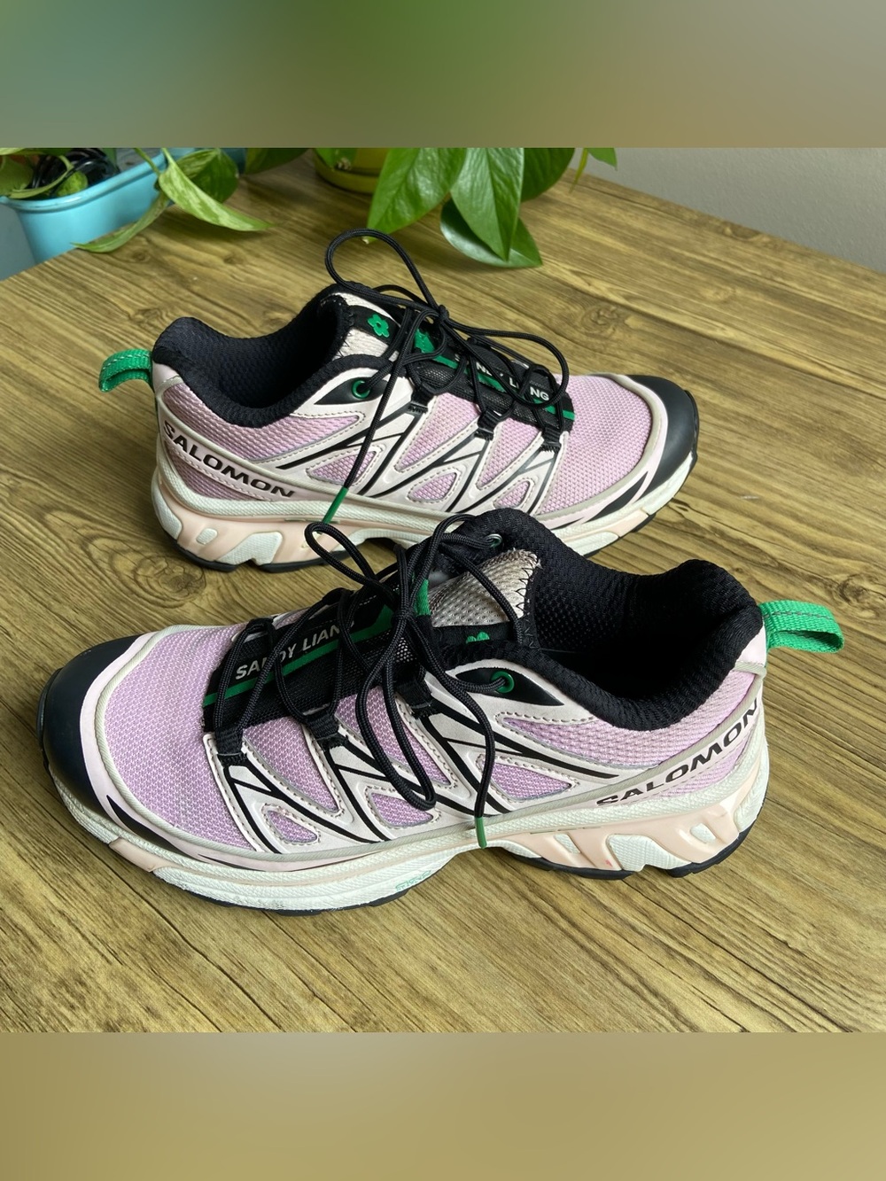 Sandy Liang x Salomon XT-6 Expanse